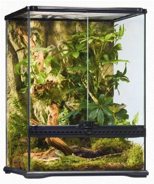 Exo Terra Glass Terrarium - Small Tall - 18x18x24 inch Reptile Habitat (PT2607)