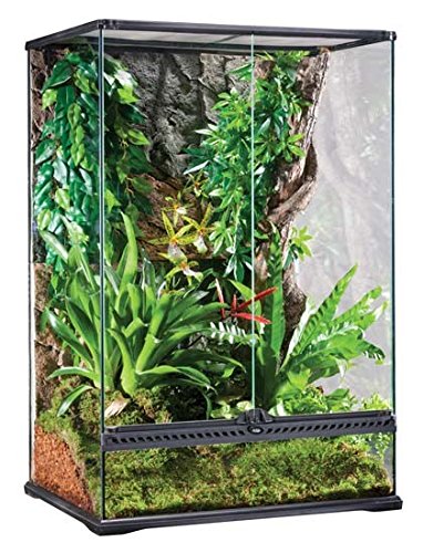 Exo Terra Natural Terrarium - Medium/X-Tall - 24x18x36" Glass Reptile Habitat
