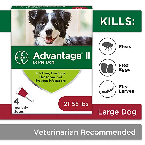 Advantage II Large Dog Flea Treatment (21-55 lbs) - 4 Month Supply