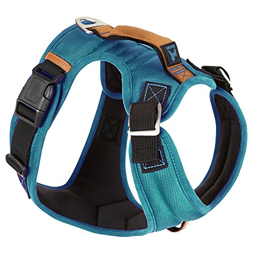 Gooby Pioneer Dog Harness - Small Dog Head Harness with Control Handle & Seatbelt Restraint - Turquoise - Large