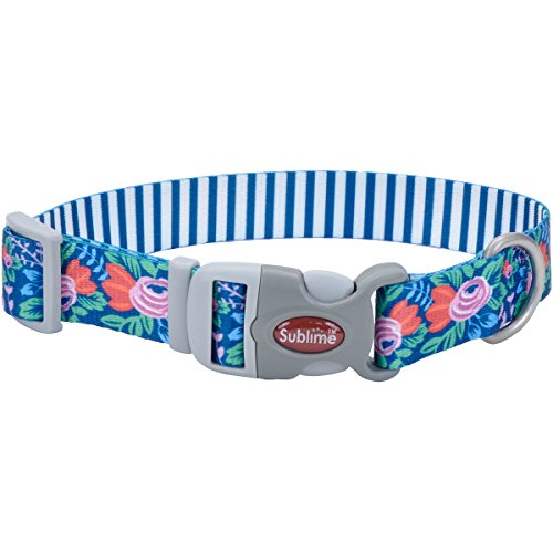 Coastal Sublime Dog Collar - Flower Stripe - 1" Wide, Adjustable 12-18" - Teal/Multi