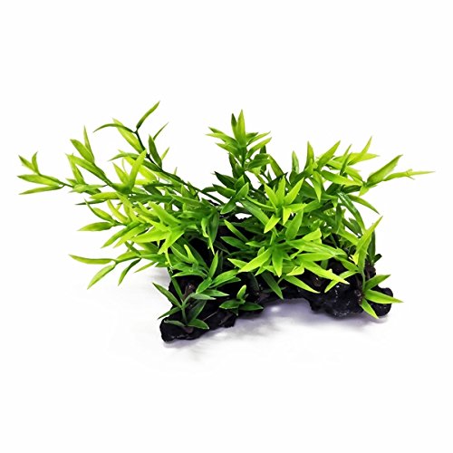 AquaTop Aquarium Decoration - Bushy Green Plant on Resin Base