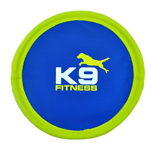 Zeus K9 Fitness Flexi Flyer Tough Nylon Dog Toy, 10.5-in, Color May Vary