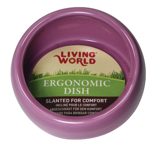 Living World Ergonomic Dish - Large, Pink, 14.78 oz - Small Animal Food/Water Bowl