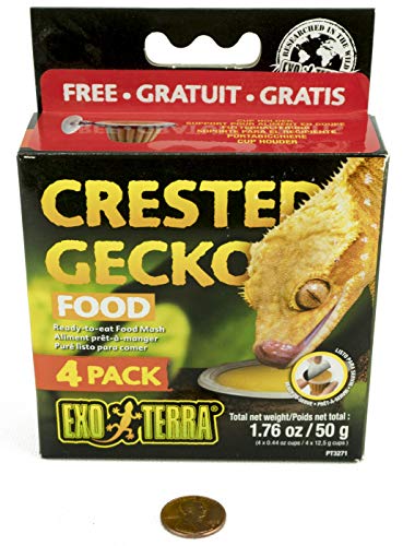 Exo Terra Crested Gecko Food - 4 Pack - Complete Reptile Diet