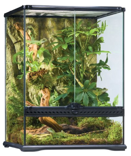 Exo Terra Rainforest Habitat Kit - Medium - 18x18x24" Terrarium - PT2662