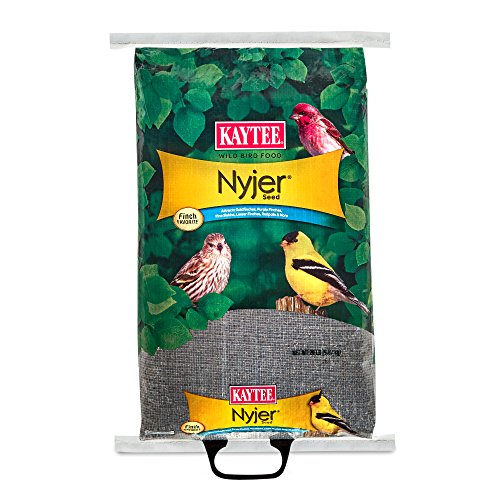 Kaytee Nyjer Thistle Seed Wild Bird Food - 20 lb Bag - Attracts Finches & Songbirds