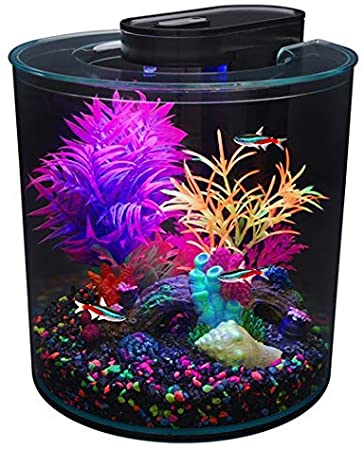 Marina iGlow 360 Aquarium Kit - 2.65 Gallon Complete Fish Tank with LED Lighting