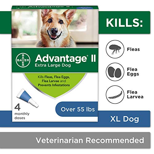 Advantage II XL Dog Flea Treatment, 55+ lbs, 4-Month Supply