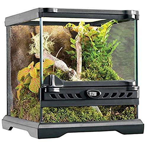 Exo Terra Nano Wide Glass Terrarium - 8x8x8" - Reptile/Amphibian Habitat