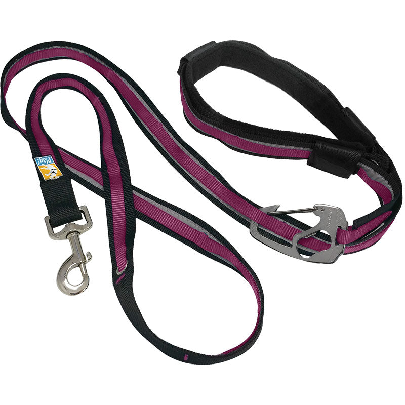 Kurgo Reflect & Protect Quantum Leash - Raspberry - 6-in-1 Hands-Free Dog Leash