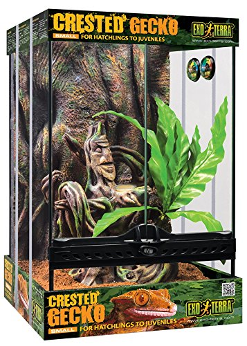 Exo Terra Crested Gecko Terrarium Kit - Small - 18x18x24" - Habitat Kit for Crested Geckos