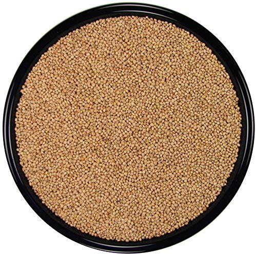 SLEEK & SASSY All Natural White Proso Millet for Birds - 20 lbs