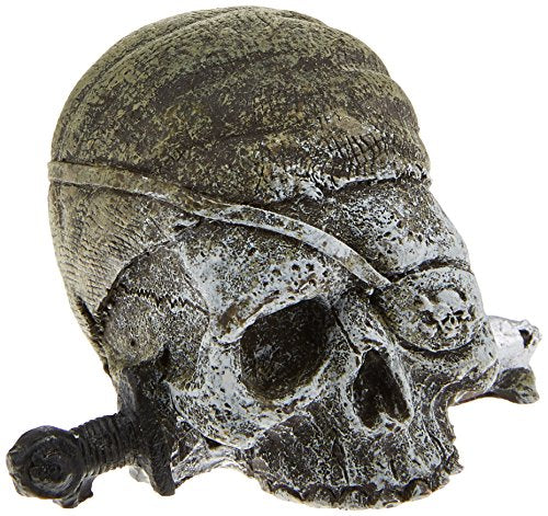 Blue Ribbon Exotic Environments Sunken Pirate Skull Mini Aquarium Ornament - 2x2x2.5"