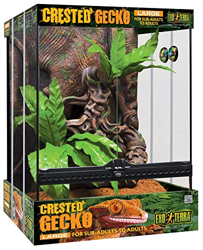 Exo Terra Crested Gecko Habitat Kit - Large - 12x12x18 inch Terrarium Kit