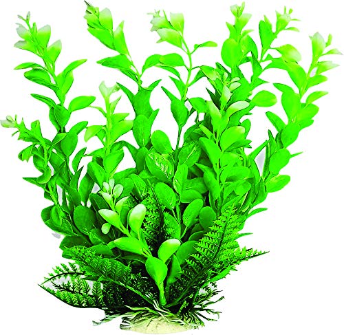 AquaTop Green Aquarium Plant with Light White Tips - 9 Inch