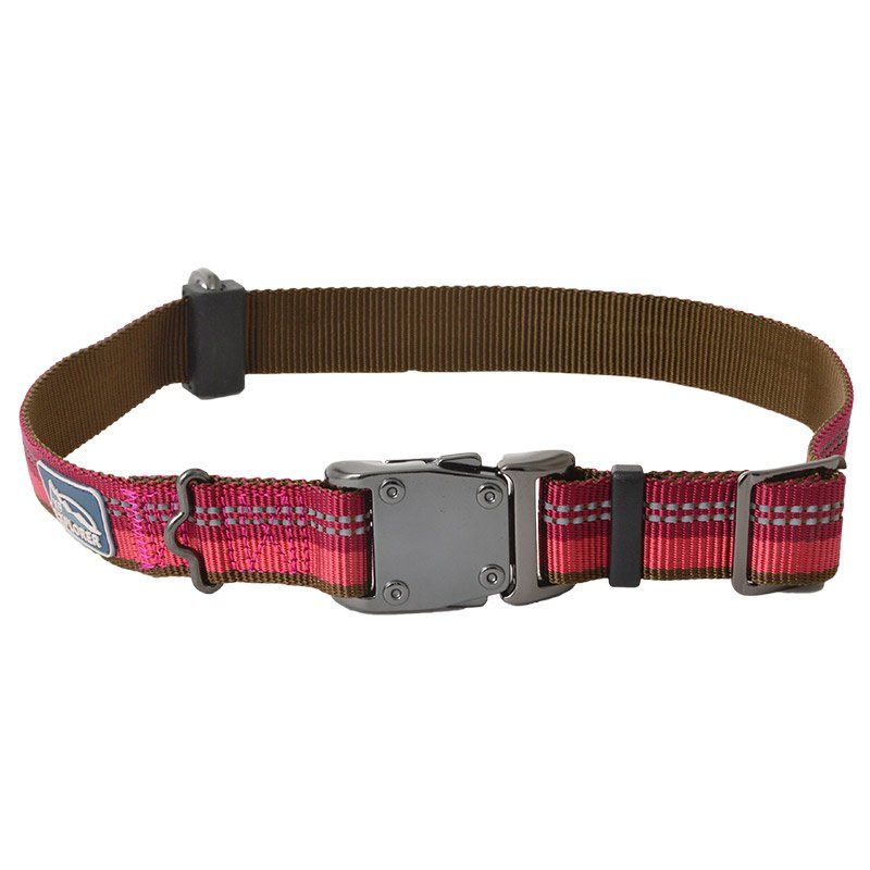 Coastal K9 Explorer Reflective Dog Collar - Berry - 1" x 18-26" - Large - Adjustable
