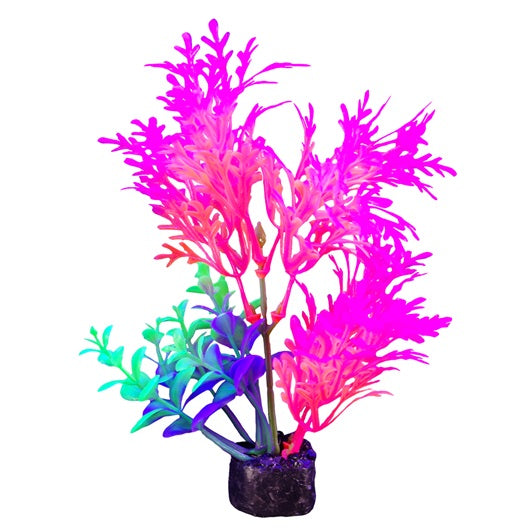 iGlo Whisteria Aquarium Plant, Pink/Orange, 5.5-in