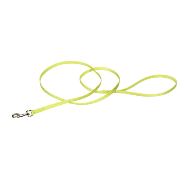 Coastal Pet Single-Ply Nylon Dog Leash - Lime Green - 4 ft x 3/8"