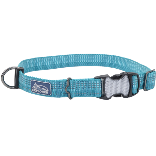 Coastal Pet K9 Explorer Brights Reflective Adjustable Dog Collar, Ocean, 1" x 18-26"