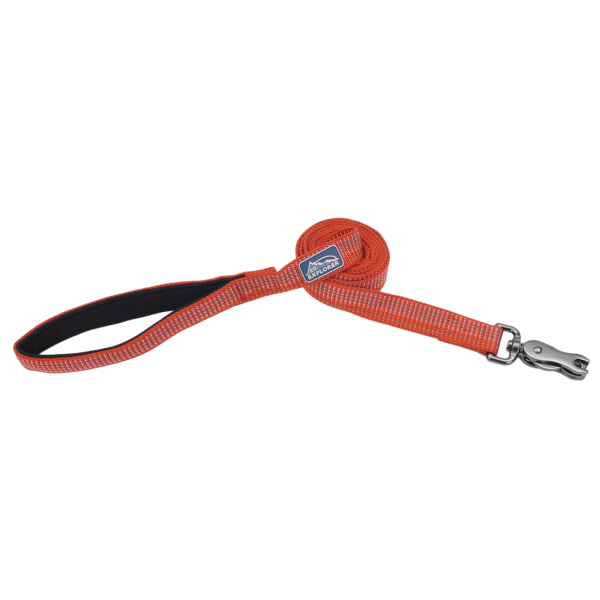 Coastal K9 Explorer Brights Reflective Dog Leash, Canyon, 1 inch x 6 ft