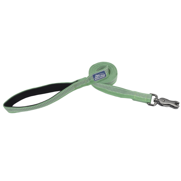 Coastal K9 Explorer Reflective Dog Leash - 1 inch x 6 ft - Meadow