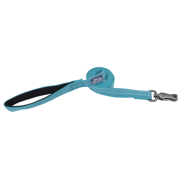Coastal Pet K9 Explorer Brights Reflective Dog Leash, Ocean, 1" x 6'