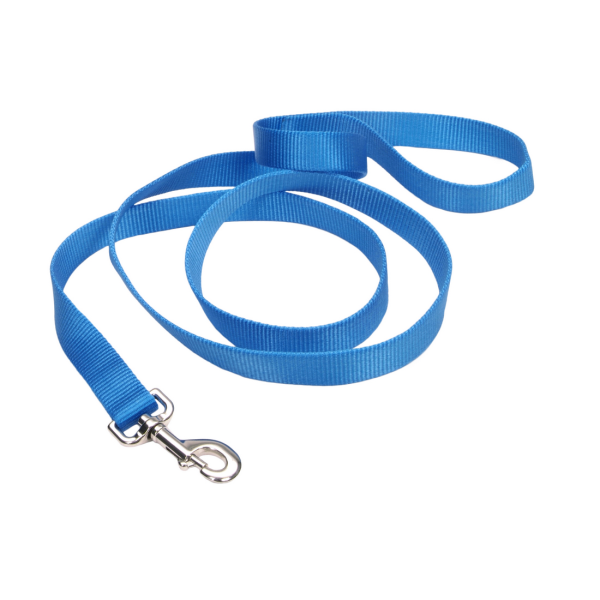 Coastal Single-Ply Dog Leash, Blue Lagoon, 3/4 in x 4 ft