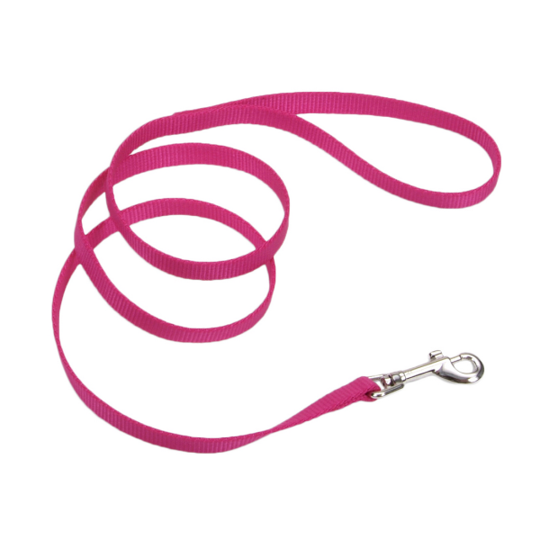 Coastal Pet Single-Ply Nylon Dog Leash, 5/8 in x 4 ft, Pink Flamingo