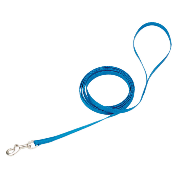 Coastal Single-Ply Dog Leash 3/8-in x 4-ft Lagoon Blue