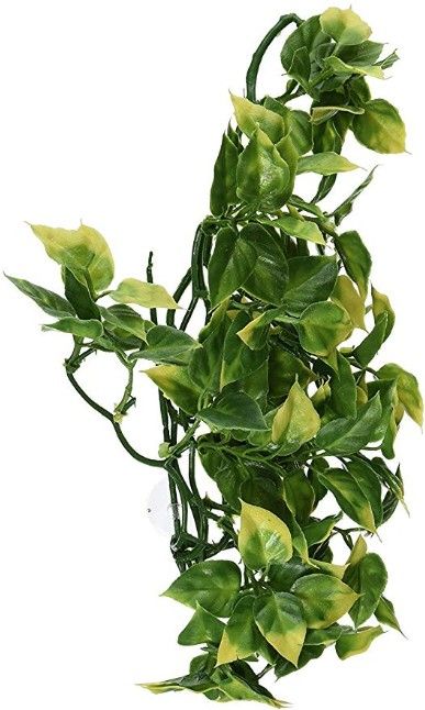Exo Terra Amapallo Medium Plastic Terrarium Plant - Reptile & Amphibian Habitat Decor