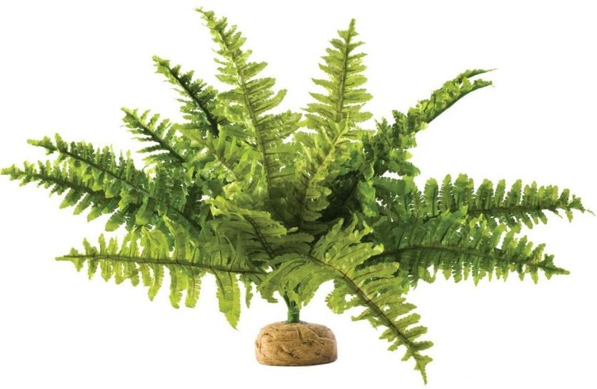 Exo Terra Boston Fern - Medium, Artificial Terrarium Plant, Reptile & Amphibian Habitat Decor