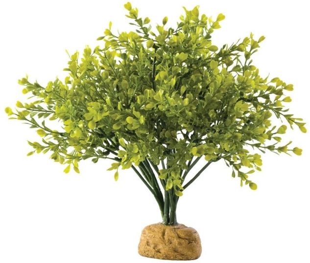 Exo Terra Boxwood Bush - Artificial Terrarium Plant - PT2994