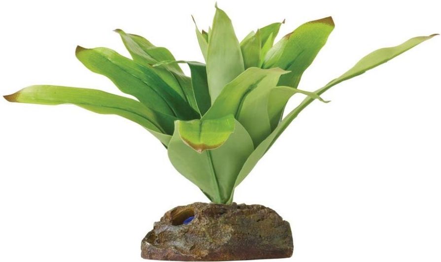 Exo Terra Small Bromelia - Realistic Terrarium Plant Decoration - PT2977