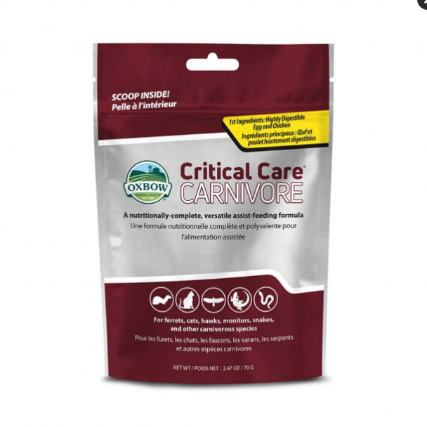 Oxbow Critical Care Carnivore - Premium Recovery Food for Carnivores - 70g Bag