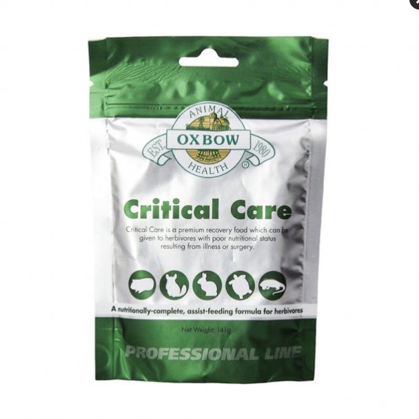 Oxbow Critical Care Anise - Herbivore Recovery Food (141g) - Emergency Nutritional Support for Rabbits, Guinea Pigs & Small Animals