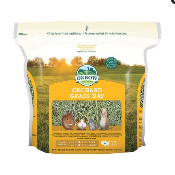 Oxbow Orchard Grass Hay - 40 oz / 1.13 kg - For Rabbits, Guinea Pigs, and Small Pets