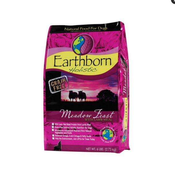 Earthborn Holistic Meadow Feast Grain-Free Dry Dog Food, Lamb & Pumpkin, 5 lb