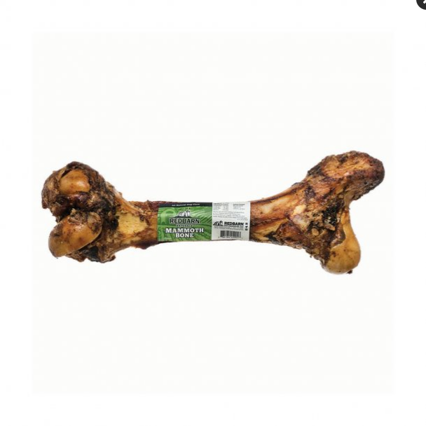 Redbarn Mammoth Beef Bone Dog Treat - 12-16 Inch, 30 oz - Natural Long Lasting Chew